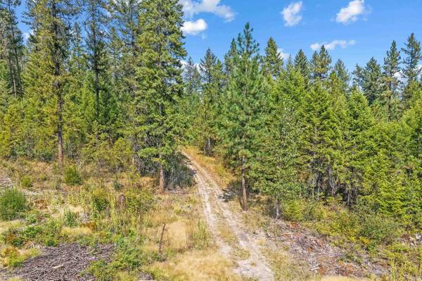 TBD Hwy 395 N, Kettle Falls, WA 99141