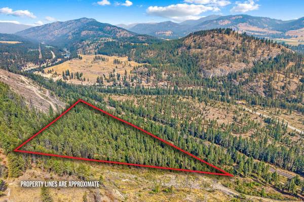 TBD Hwy 395 N, Kettle Falls, WA 99141