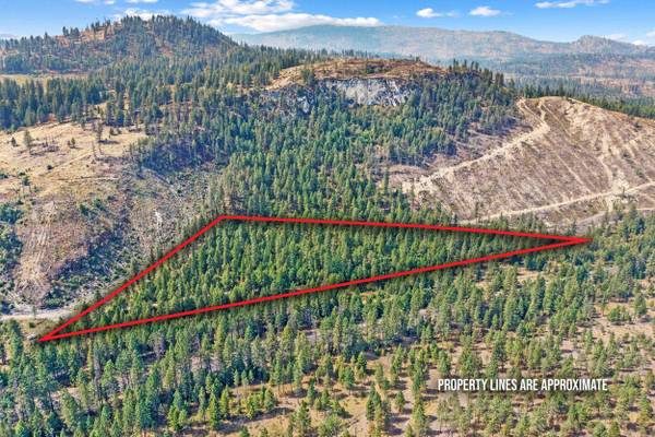 TBD Hwy 395 N, Kettle Falls, WA 99141
