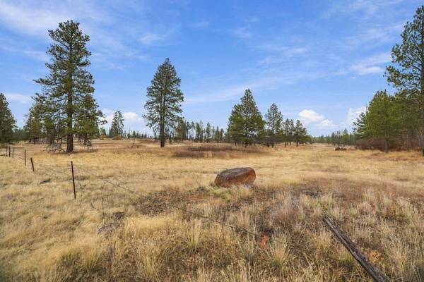 35823 S Rock Lake Rd, Cheney, WA 99004