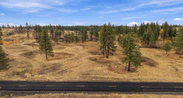 35823 S Rock Lake Rd, Cheney, WA 99004
