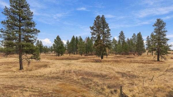 35823 S Rock Lake Rd, Cheney, WA 99004