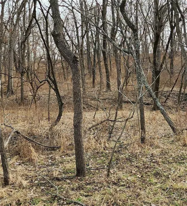 15800 S State Route 7 HWY, Pleasant Hill, MO 64080