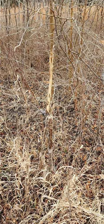 15800 S State Route 7 HWY, Pleasant Hill, MO 64080