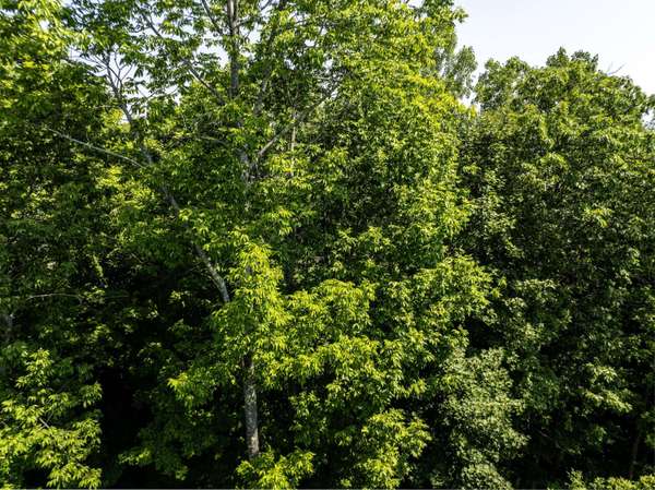 Lot 6 Waukeag WAY, Belfast, ME 04915