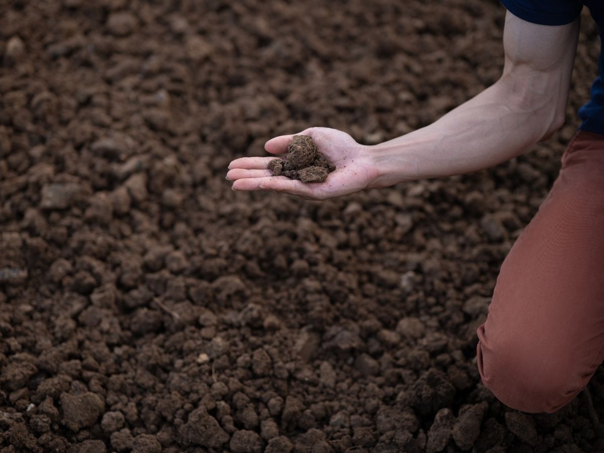 Soil testing and analysis for a San Diego farm property to determine pH and nutrient levels for agricultural use