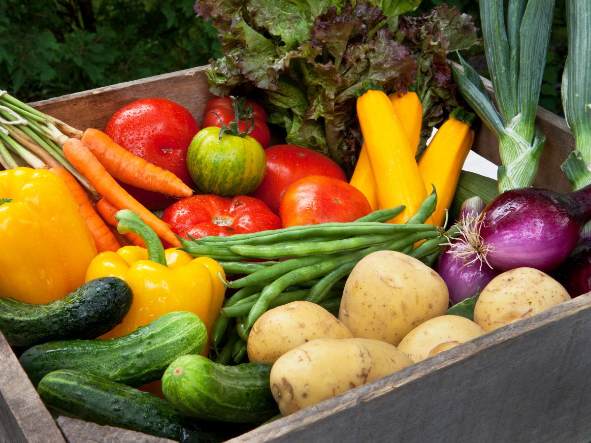 CSA Box of Fruits and Vegetables