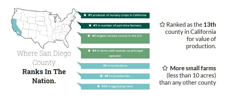 Infographic showing San Diego County’s national farm rankings: #1 in nursery crops and part-time farmers, #2 largest U.S. nursery county, #2 in farms with women operators, #5 in horticulture, #9 in strawberries, #10 in egg-laying hens, and 13th in California for value of production. More small farms under 10 acres than any other county.