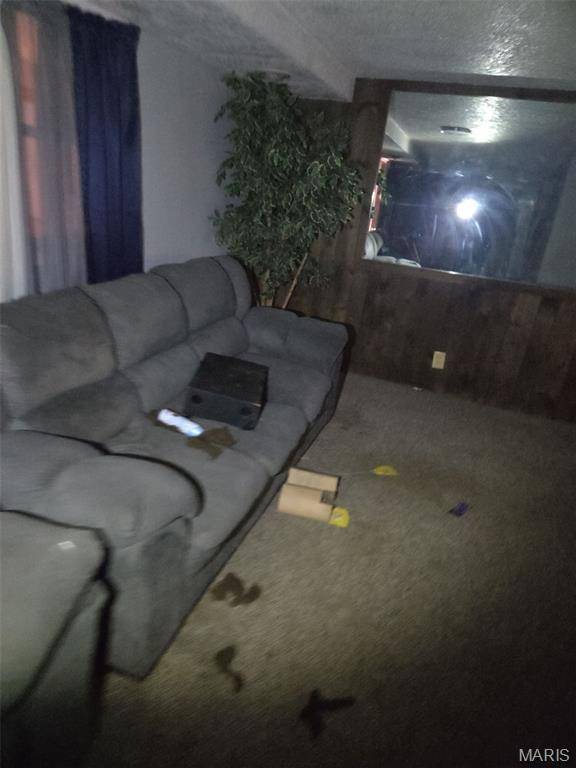 3217 Geitz AVE, East St Louis, IL 62205