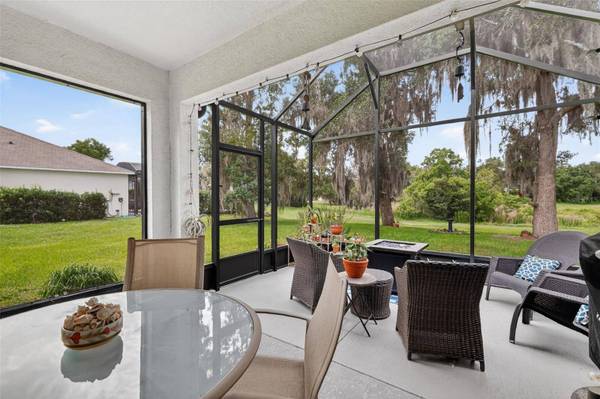 10521 BRONZE LEAF CT, Leesburg, FL 34788