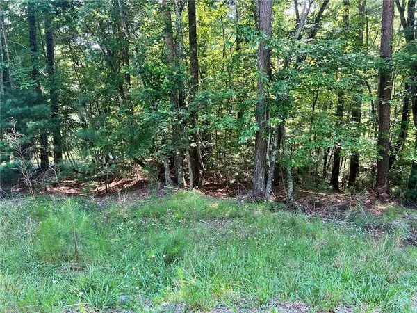 00 Alpine 3625 DR, Ellijay, GA 30540