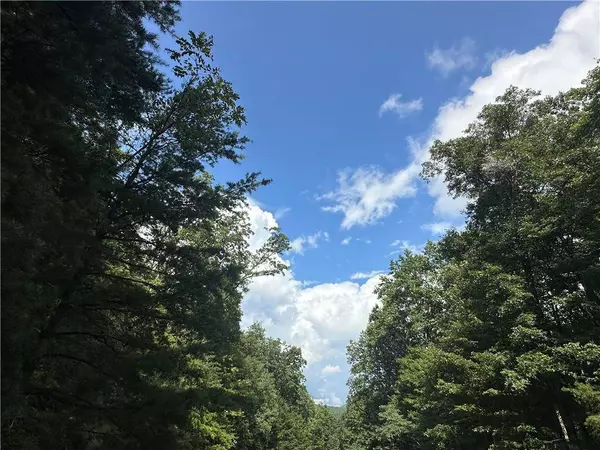 257 Andes RDG, Ellijay, GA 30175