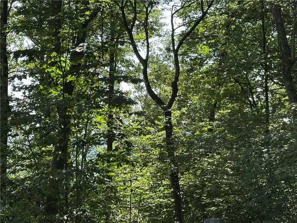 257 Andes RDG, Ellijay, GA 30175