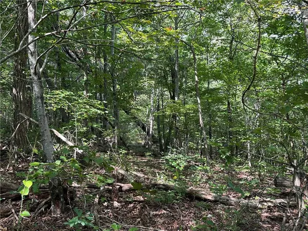 257 Andes RDG, Ellijay, GA 30175