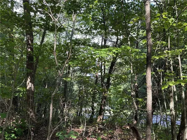 257 Andes RDG, Ellijay, GA 30175