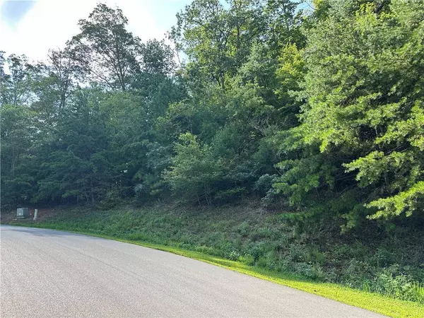 257 Andes RDG, Ellijay, GA 30175