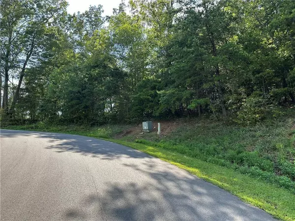 257 Andes RDG, Ellijay, GA 30175