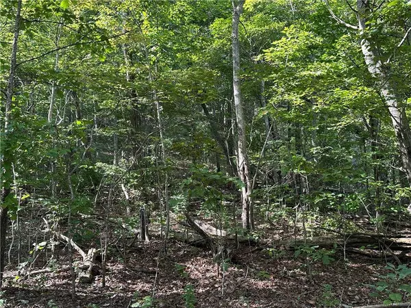 257 Andes RDG, Ellijay, GA 30175