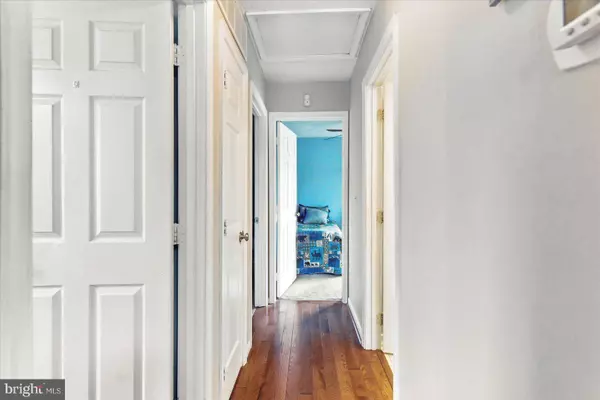 8103 ESCALON AVE, Pasadena, MD 21122