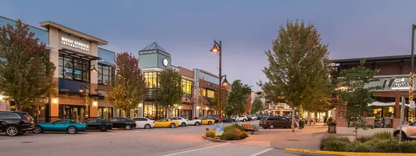 Willoughby vs. Walnut Grove: Which Langley Neighbourhood Is Right for You?