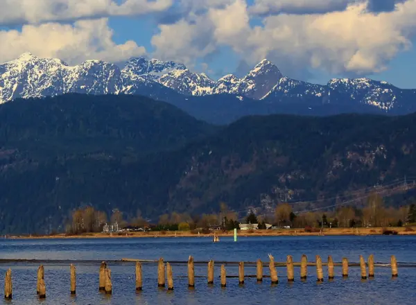 Just Listed Homes PItt Meadows BC