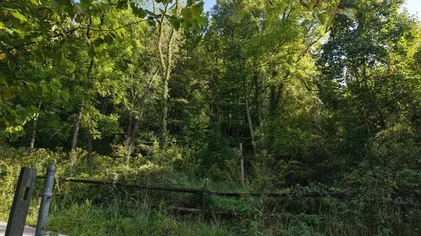229-230 Number One Hill, Jenkins, KY 41537