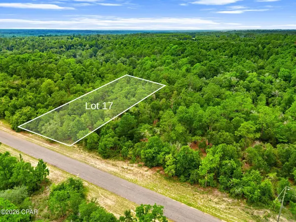 0 Firwood AVE #Lot 17, Chipley, FL 32428