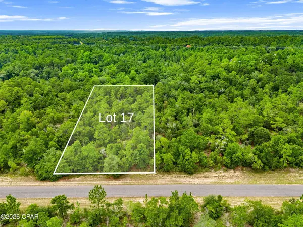 0 Firwood AVE #Lot 17, Chipley, FL 32428