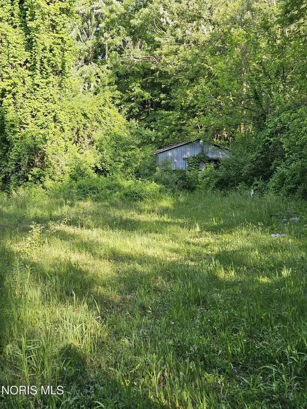 6420 Prov Neap Swan RD, Swanton, OH 43558