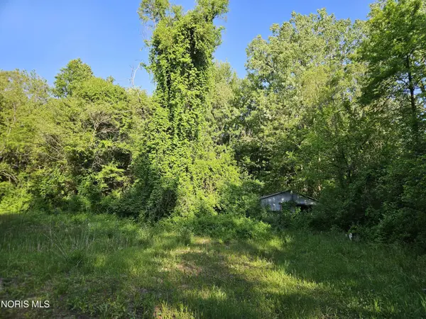 6420 Prov Neap Swan RD, Swanton, OH 43558