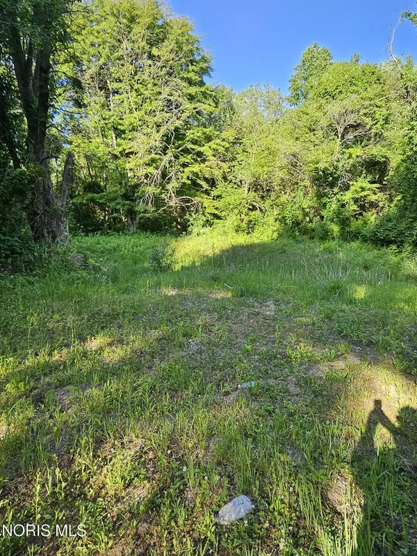 6420 Prov Neap Swan RD, Swanton, OH 43558