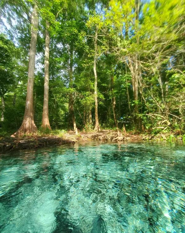 Road Trip-Worthy Destinations Less Than Two Hours from St. Augustine,Kevin Howard
