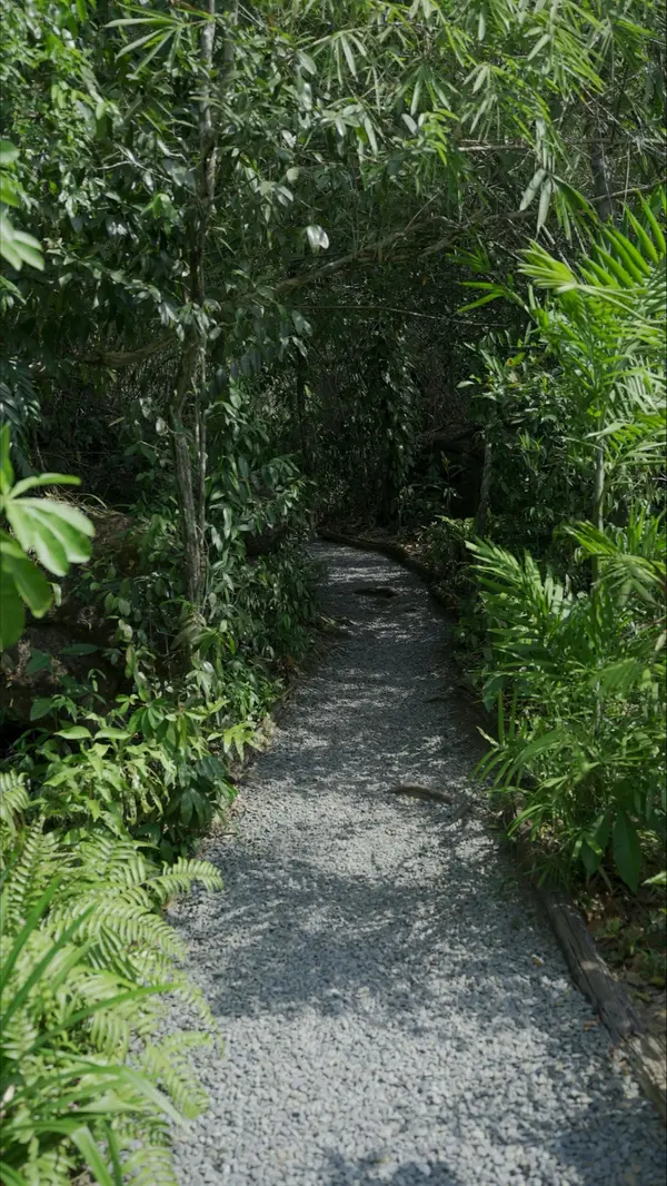 The Best Coastal Trails and Boardwalks Near St. Augustine, FL,Kevin Howard