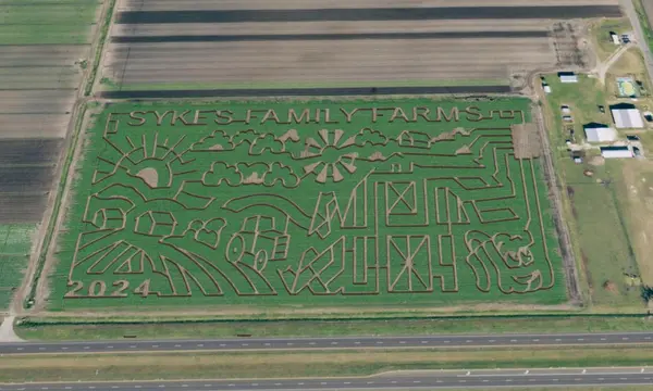 Best Pumpkin Patches in St. Augustine: Fall Fun, Corn Mazes & Family Activities for 2026