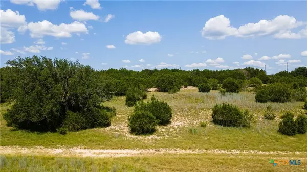 158 Hilandale DR, Kempner, TX 76539