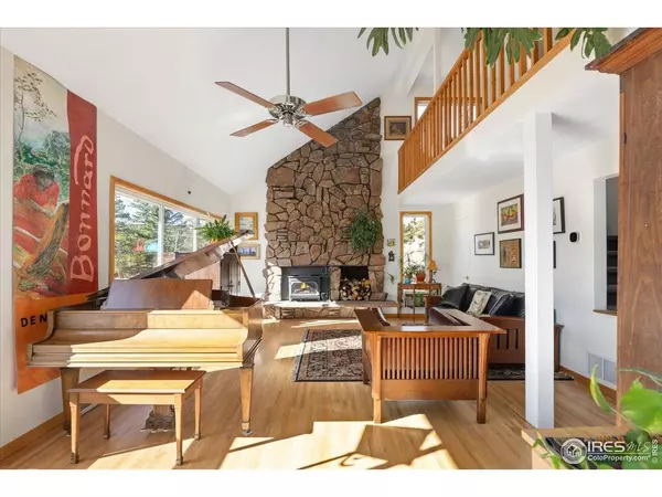 198 Frontier, Nederland, CO 80466