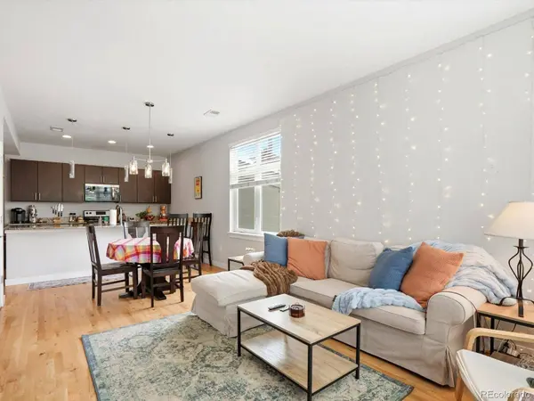115 N Iowa AVE, Lafayette, CO 80026