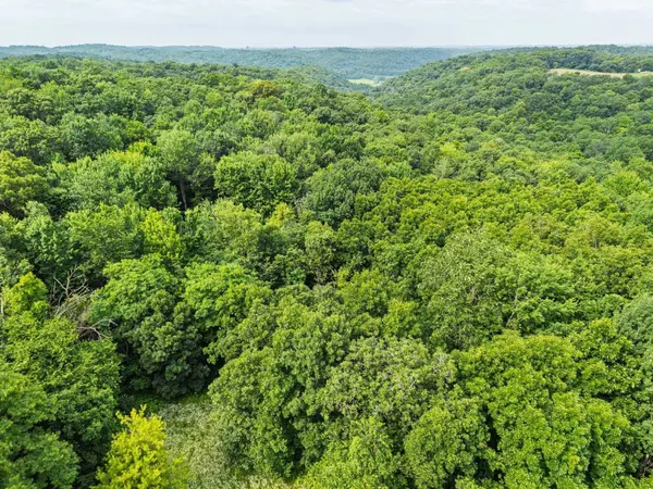26.1 Acres Alley, Muscoda, WI 53573