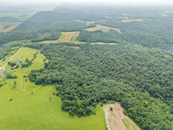 26.1 Acres Alley, Muscoda, WI 53573