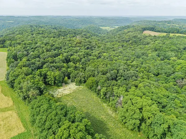 26.1 Acres Alley, Muscoda, WI 53573