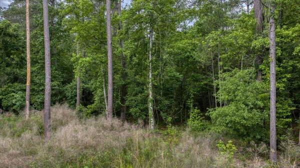 1205 Red Buckeye Ct, Moncks Corner, SC 29461