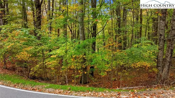 Lot 85 Wren WAY, Banner Elk, NC 34990