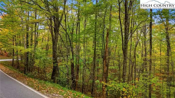 Lot 85 Wren WAY, Banner Elk, NC 34990