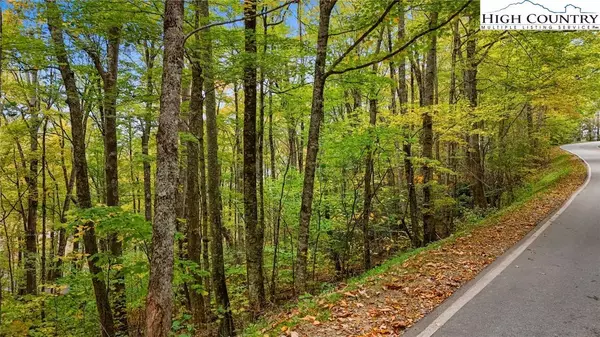 Lot 85 Wren WAY, Banner Elk, NC 34990