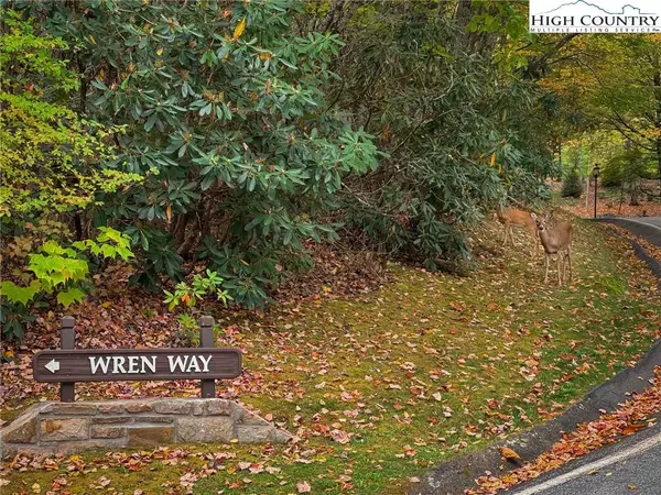 Lot 85 Wren WAY, Banner Elk, NC 34990