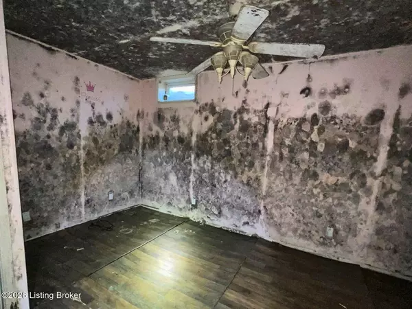 62 Pace Ln, Hardin, KY 42048