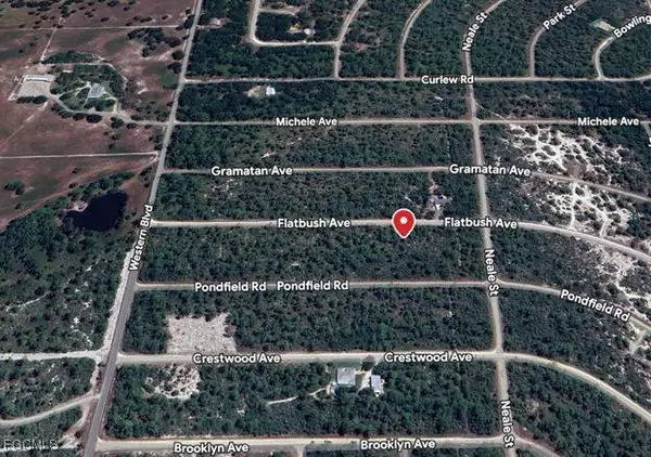 3234 Flatbush AVE, Lake Placid, FL 33852