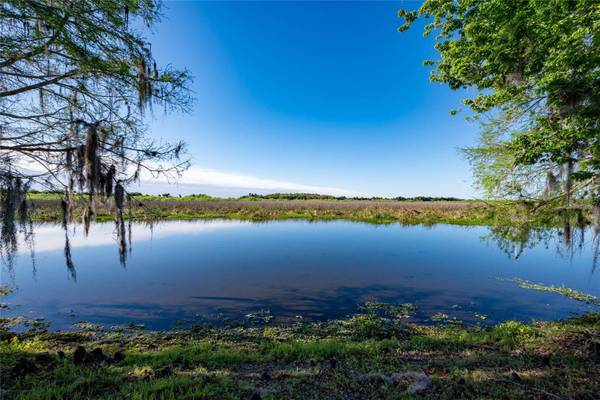 239 RIVER VILLAGE DR, Debary, FL 32713