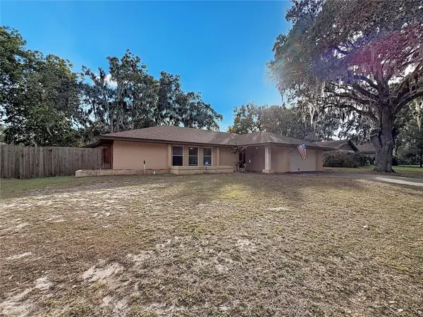 209 FIRST ST, Tavares, FL 32778