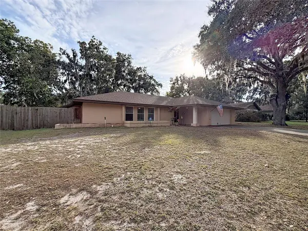 209 FIRST ST, Tavares, FL 32778